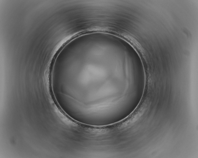 X0000113170941200909041319