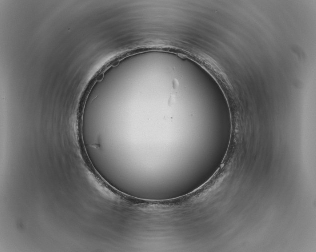 X0000113170942200909041319