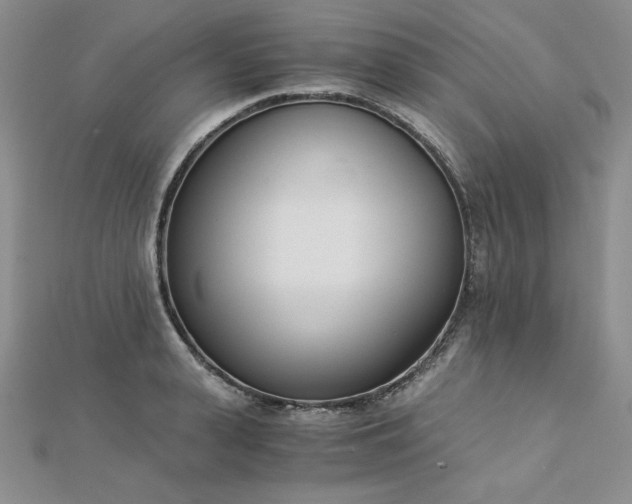 X0000113170943200909041319