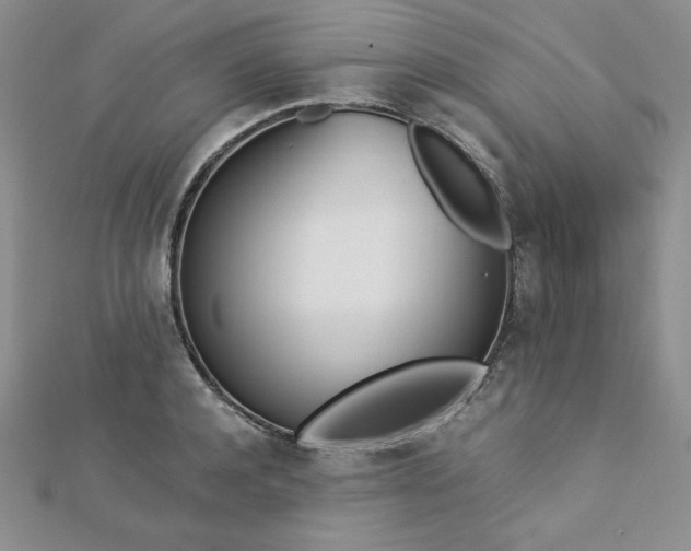 X0000113170944200909041319
