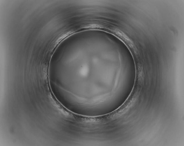 X0000113170945200909041319