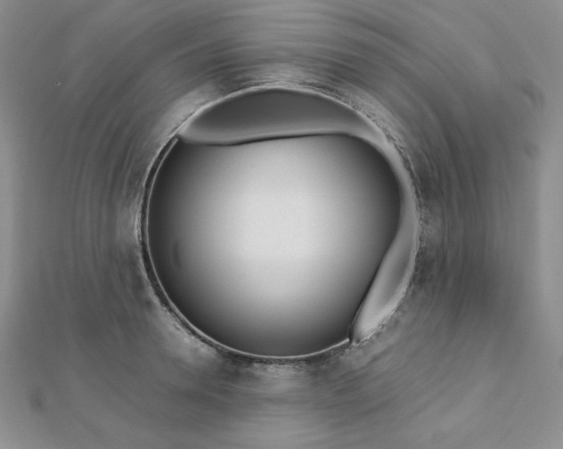 X0000113170946200909041319