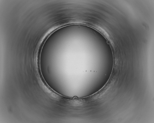 X0000113170947200909041319