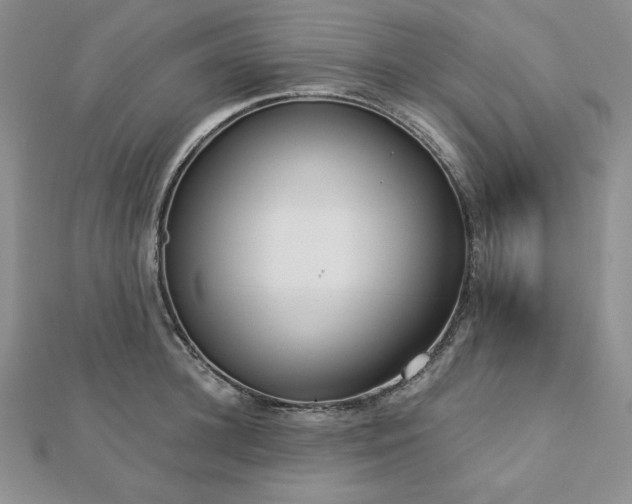 X0000113170948200909041319