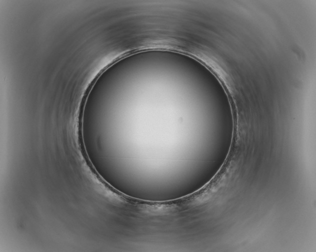 X0000113170949200909041319