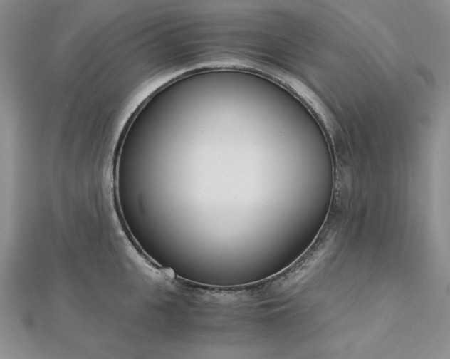 X0000113170951200909041319