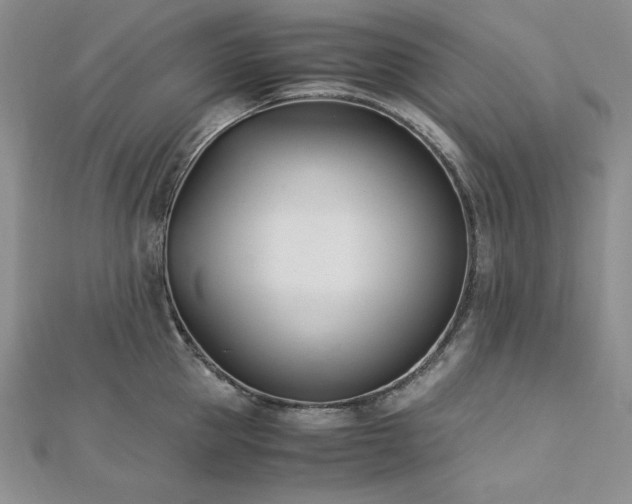 X0000113170953200909041319