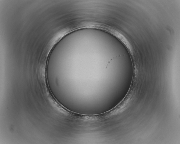 X0000113170954200909041319