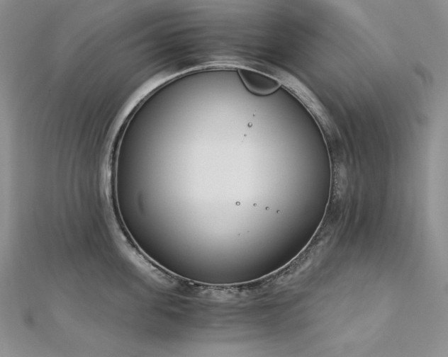 X0000113170955200909041319