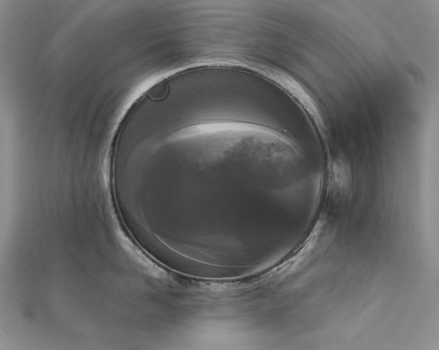 X0000113170958200909041319