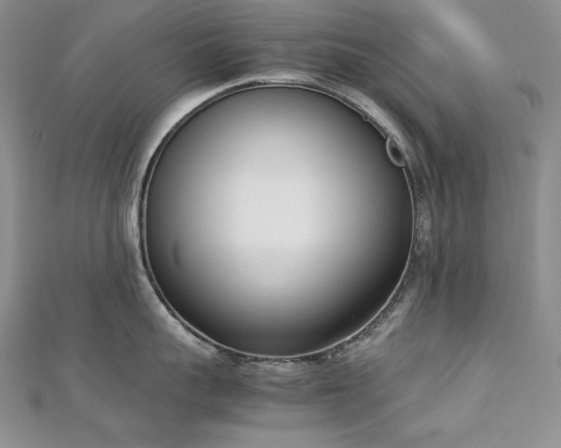 X0000113170959200909041319