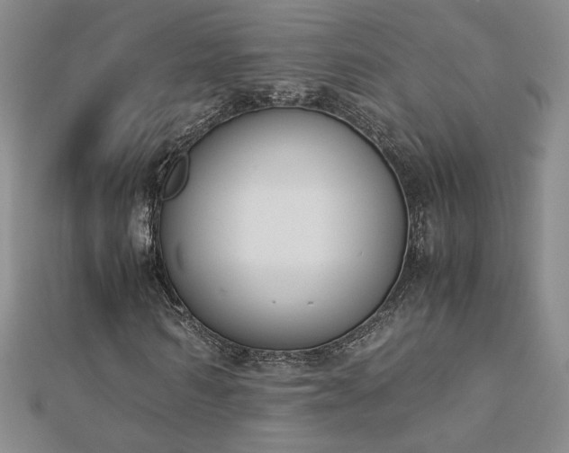 X0000113170962200909041318