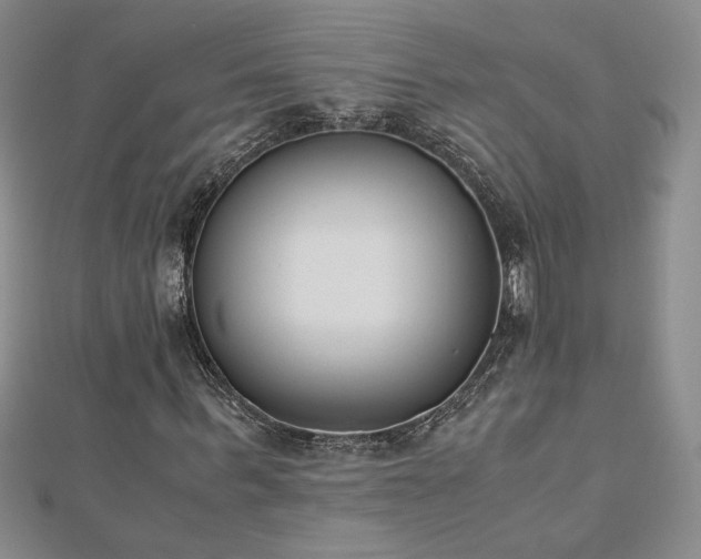 X0000113170963200909041318