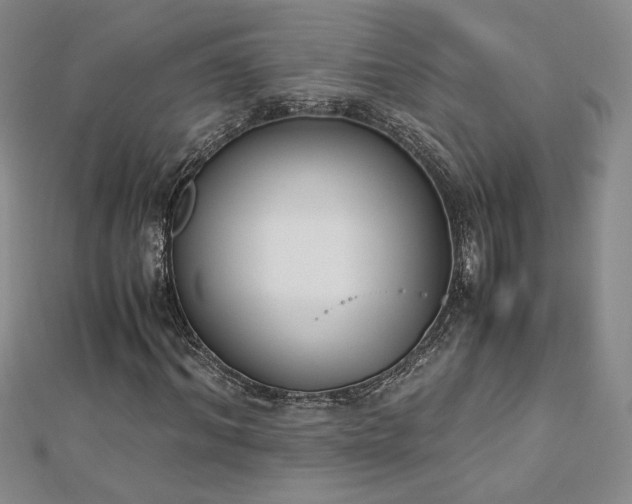 X0000113170964200909041318