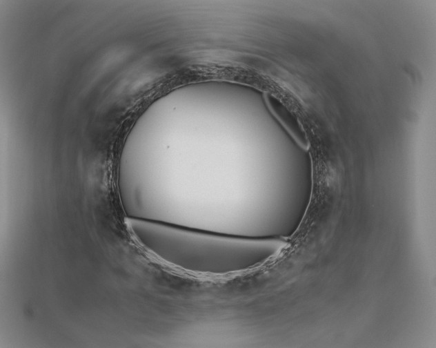 X0000113170965200909041318