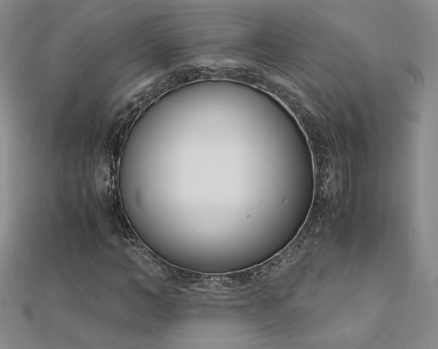 X0000113170966200909041318
