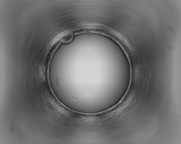 X0000113170970200909041318