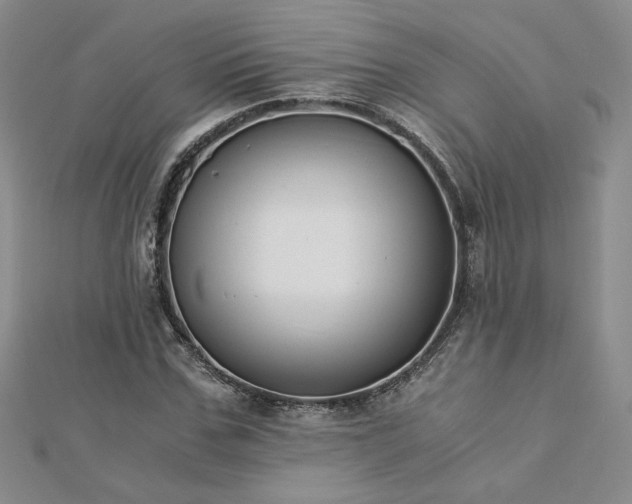 X0000113170971200909041318