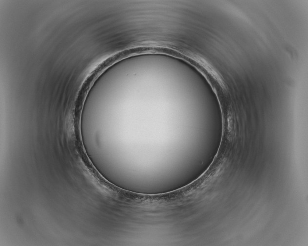 X0000113170972200909041318