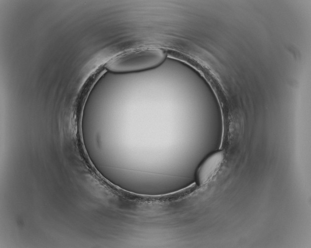 X0000113170973200909041318