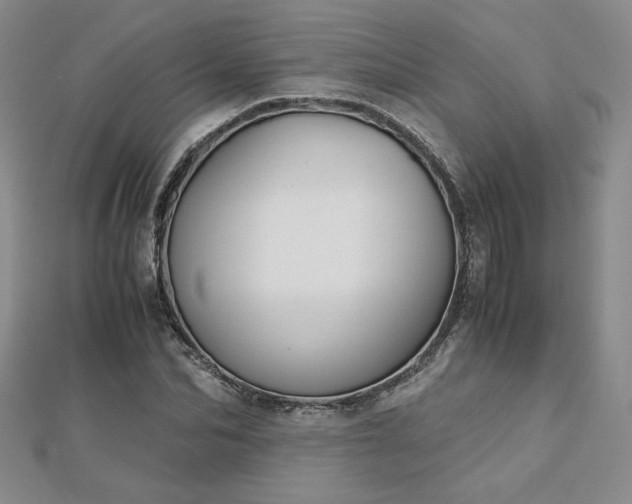 X0000113170974200909041318