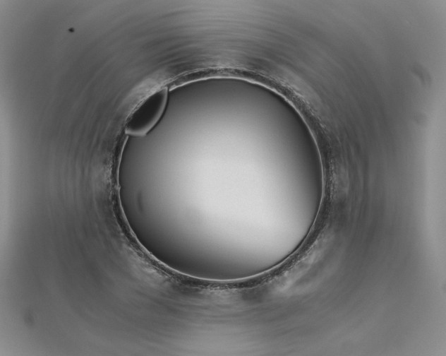 X0000113170977200909041318
