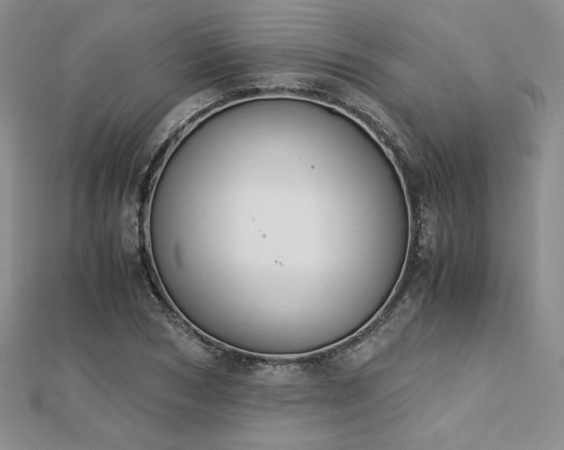 X0000113170978200909041318