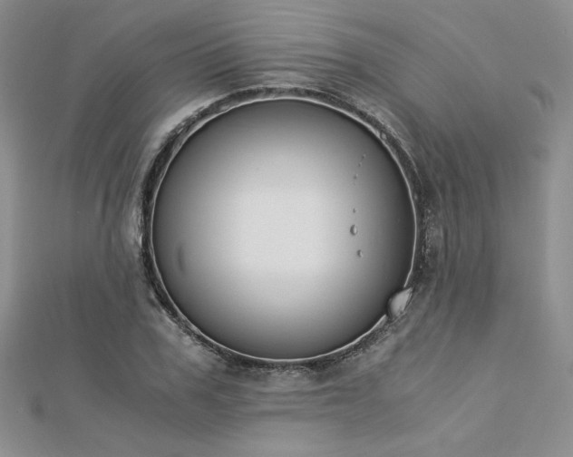 X0000113170979200909041318
