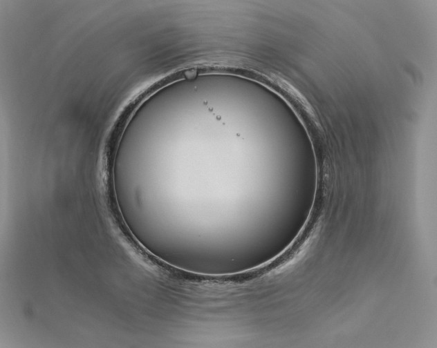 X0000113170981200909041318