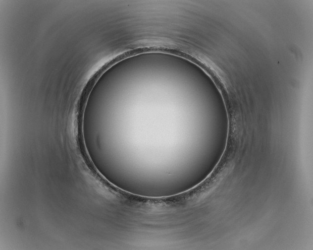 X0000113170983200909041318
