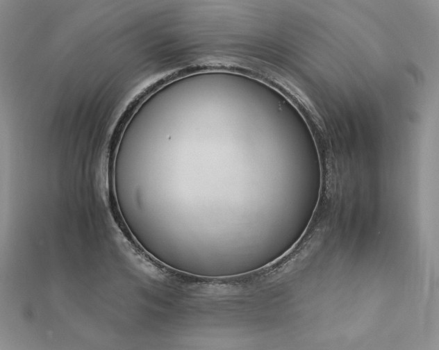 X0000113170984200909041318