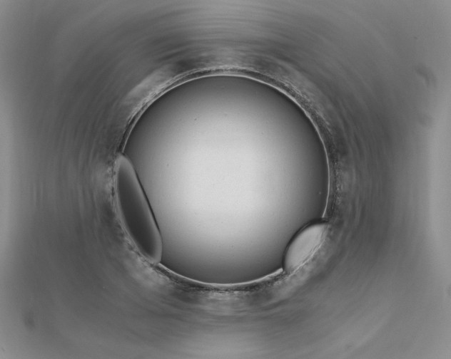 X0000113170985200909041318