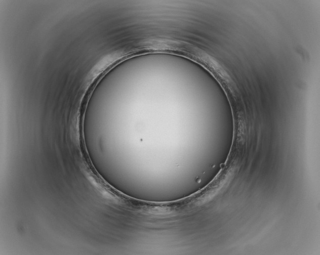 X0000113170986200909041318