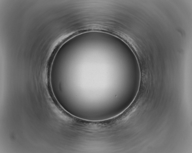 X0000113170987200909041318