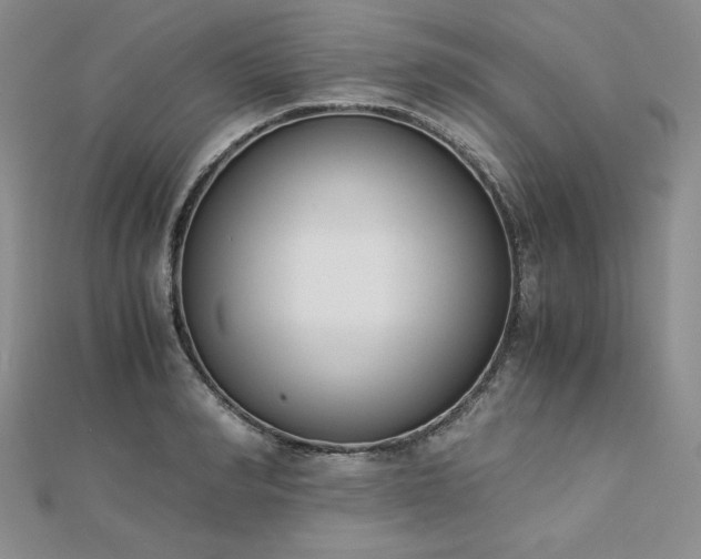 X0000113170990200909041318
