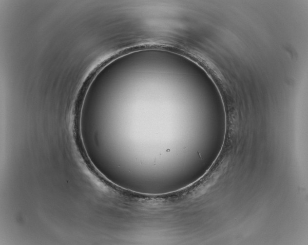 X0000113170991200909041318