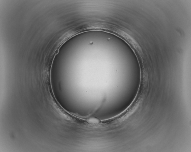 X0000113170993200909041318