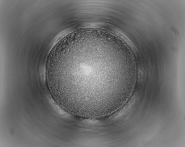 X0000113170994200909041318