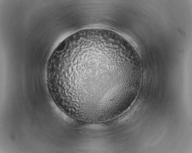 X0000113170998200909041318
