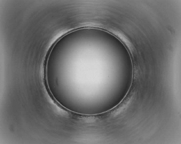 X0000113170999200909041318