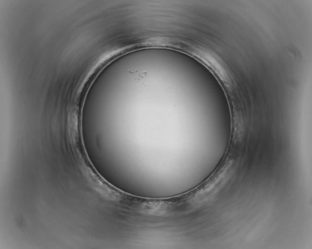 X0000113171000200909041318