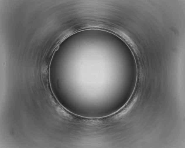 X0000113171001200909041318