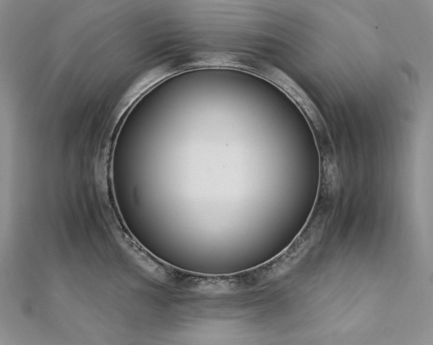 X0000113171002200909041318