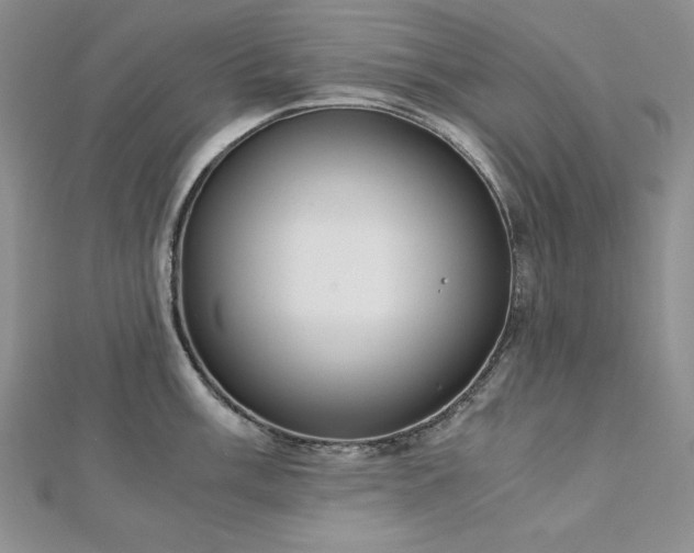 X0000113171003200909041318
