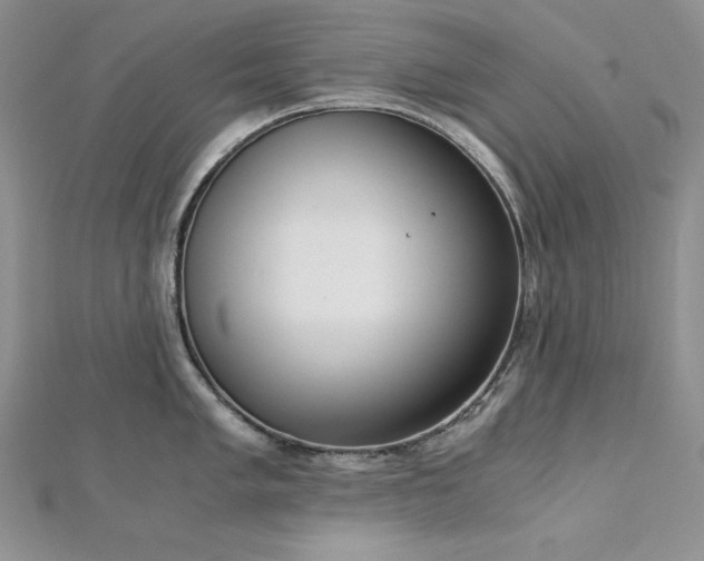 X0000113171005200909041318