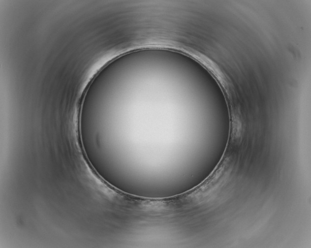 X0000113171006200909041318