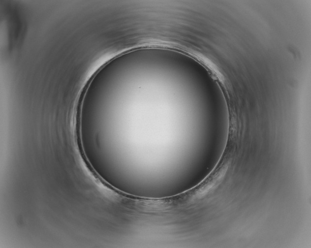 X0000113171007200909041318