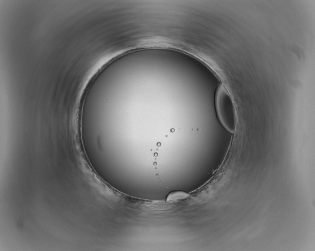 X0000113171008200909041318