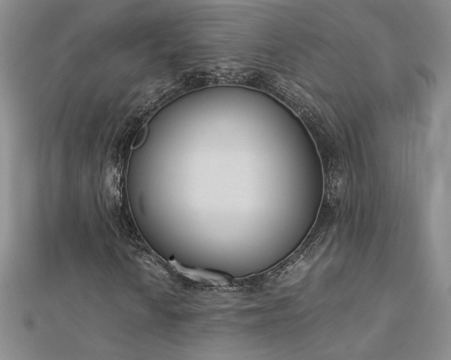 X0000113171010200909041317