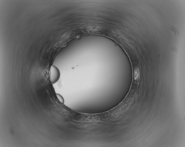 X0000113171011200909041317
